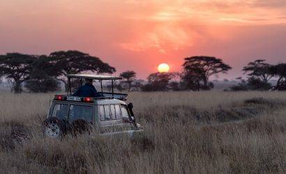 Tanzania Safari Tour Package