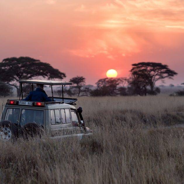 Tanzania Safari Tour Package