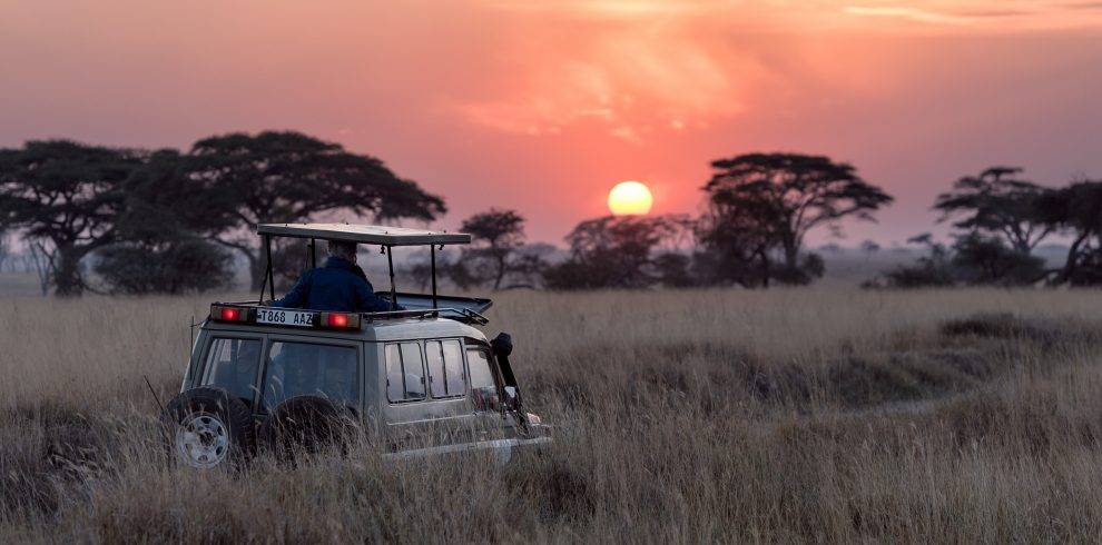 Tanzania Safari Tour Package