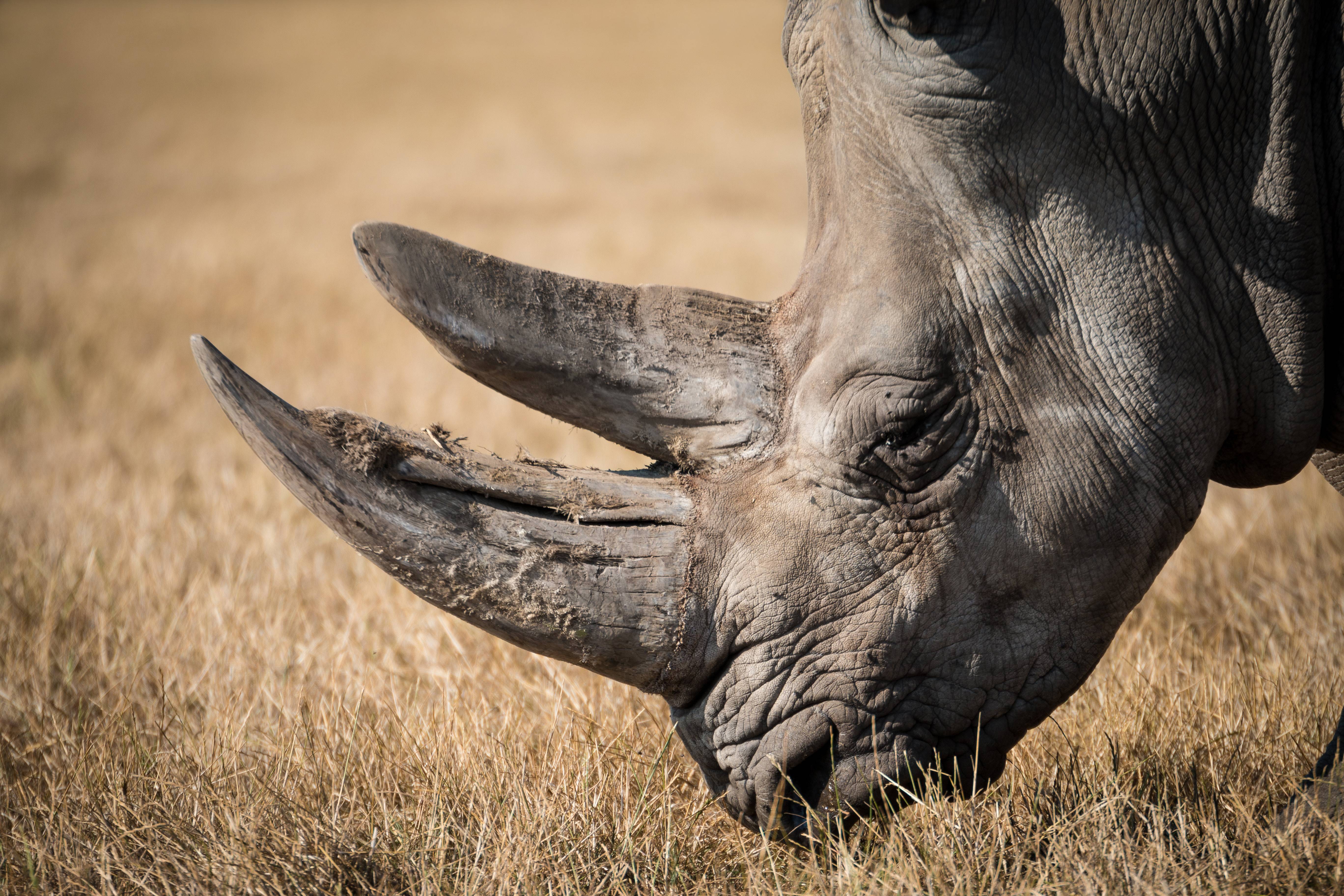 Tanzania Photography Safari