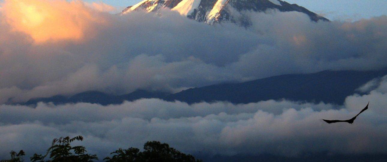 Climb Kilimanjaro