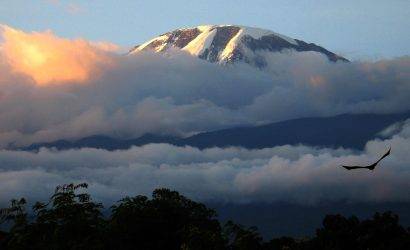 Climb Kilimanjaro