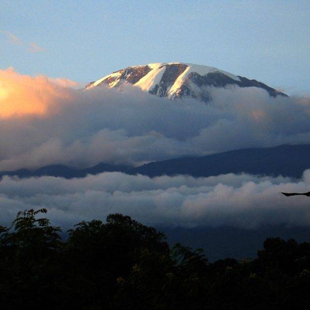 Climb Kilimanjaro