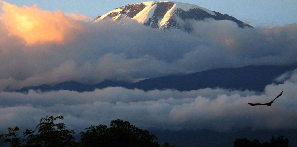 Climb Kilimanjaro