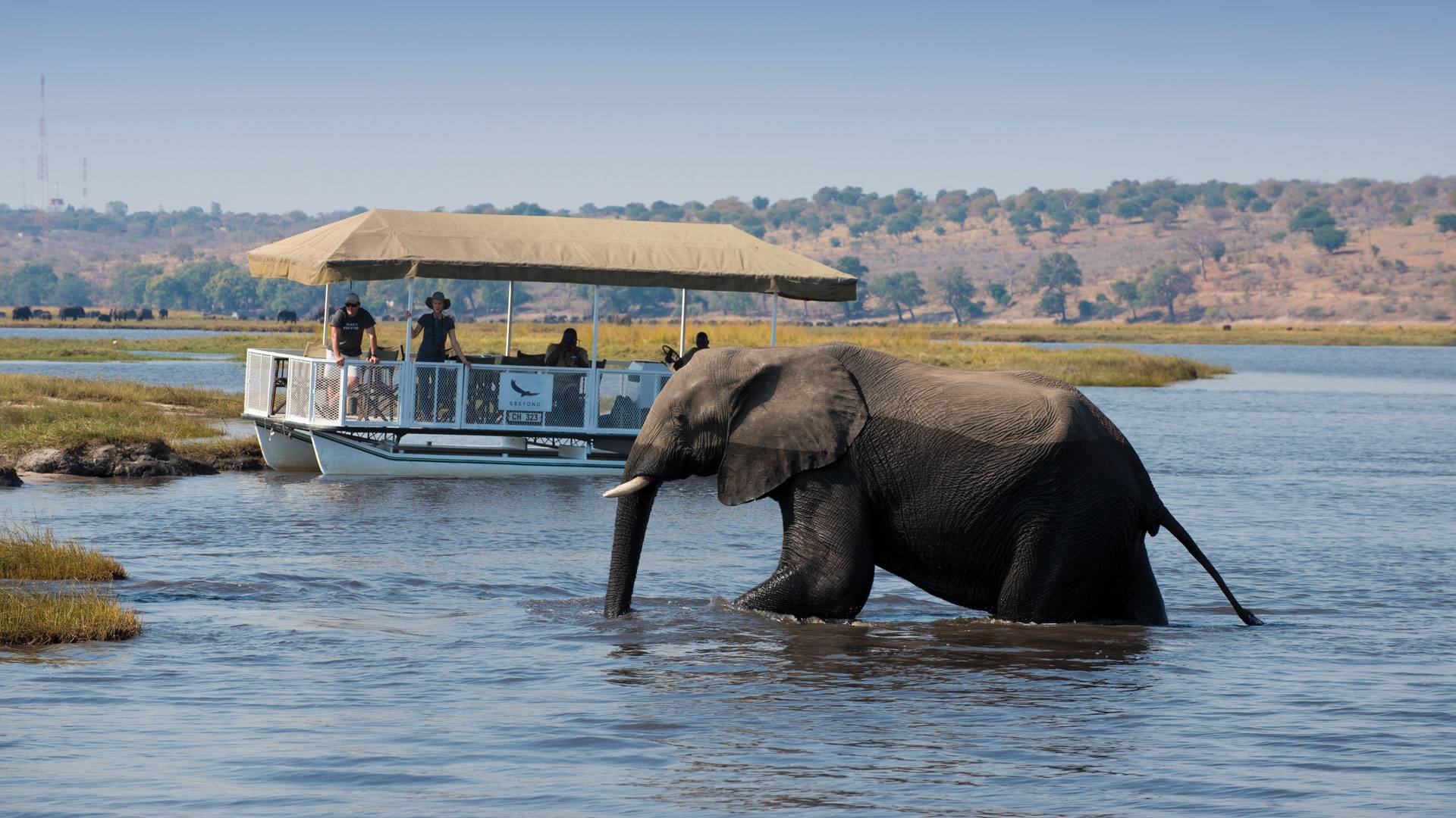Boating-in-Chobe-National-Park