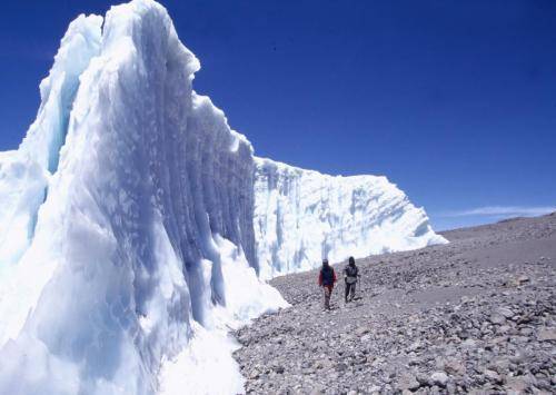 Kilimanjaro Trekking is all About Timing 